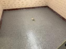 Epoxy Quartz Flooring for High School Bathroom