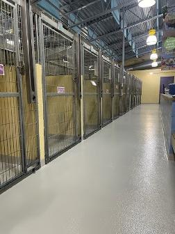 animal facility epoxy flooring