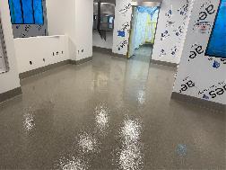 Epoxy Flake Flooring