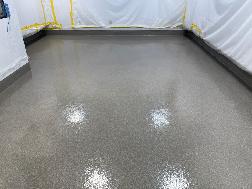 Epoxy Flake Flooring