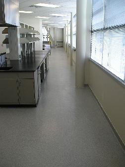 laboratory flooring