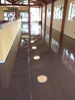 High Gloss Polished & Stained Concrete - Pittsburgh Zoo