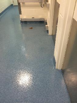 Quartz Epoxy Flooring