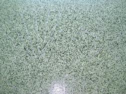 Terrazzo Mosaic Flooring